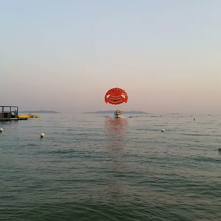 Plein Sud Le Lavandou